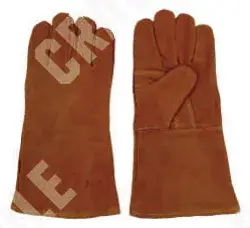 C01GV024
