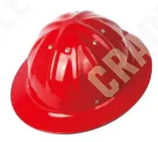 C01HS004