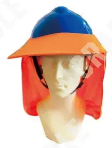 C01HS009
