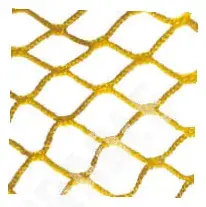 C01SN008